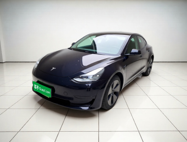 Tesla Model 3 2022 car image 