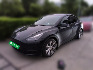 Tesla Model Y 2021 Tesla Model Y 2021 car image