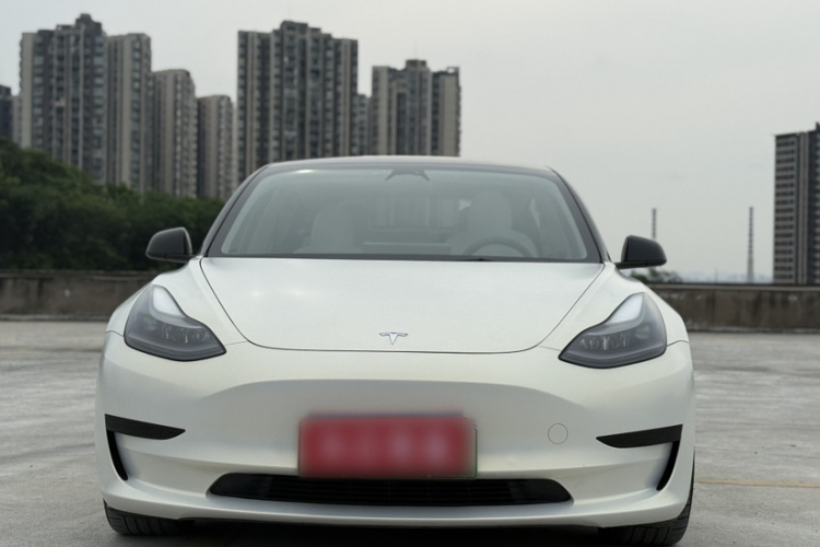 Tesla Model 3 2021 car image #8