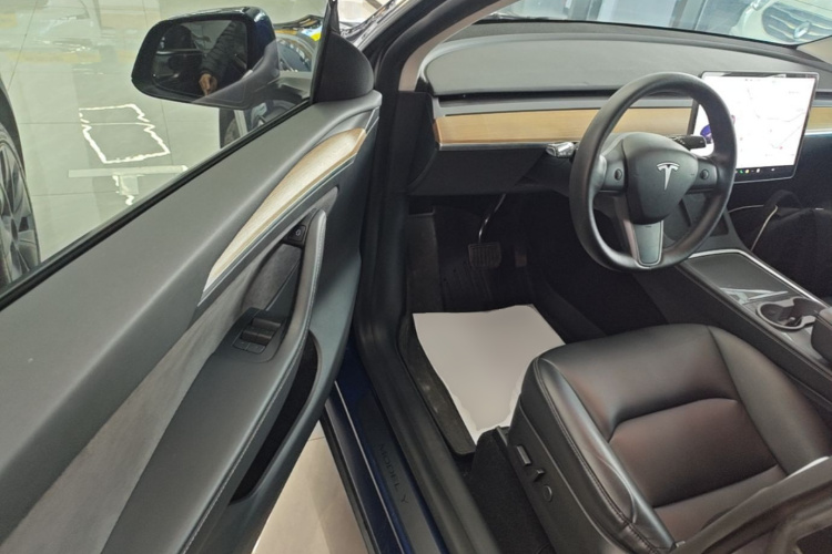 Tesla Model Y 2021 car image #16