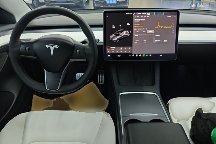 Tesla Model 3 2021 car image #10