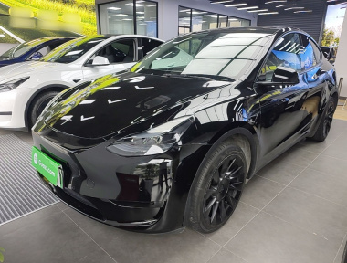 Tesla Model Y 2022 Tesla Model Y 2022 car image