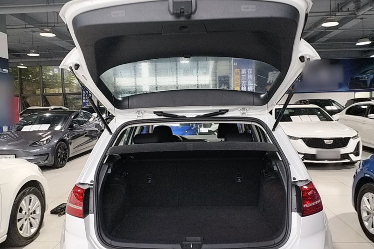 Volkswagen Golf 2015 car image #19