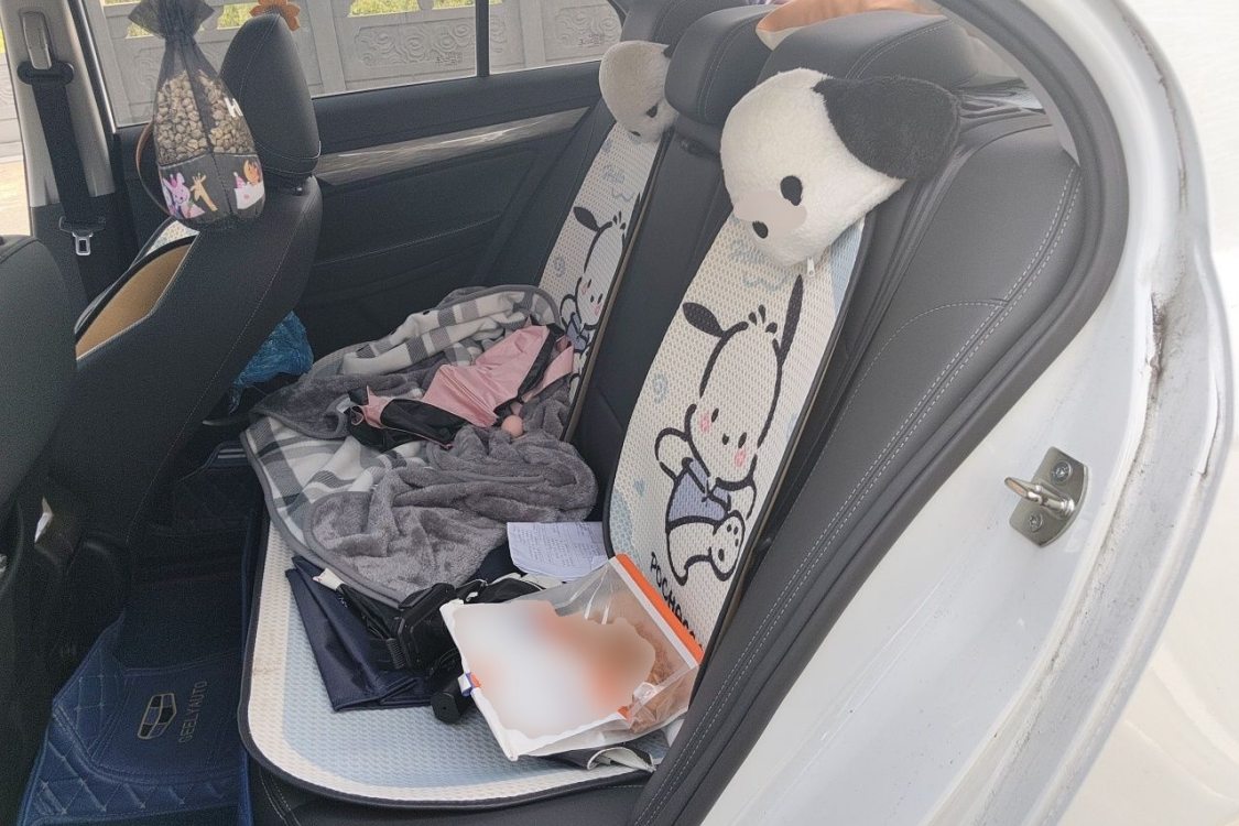 GEELY Emgrand 2019 car image #19