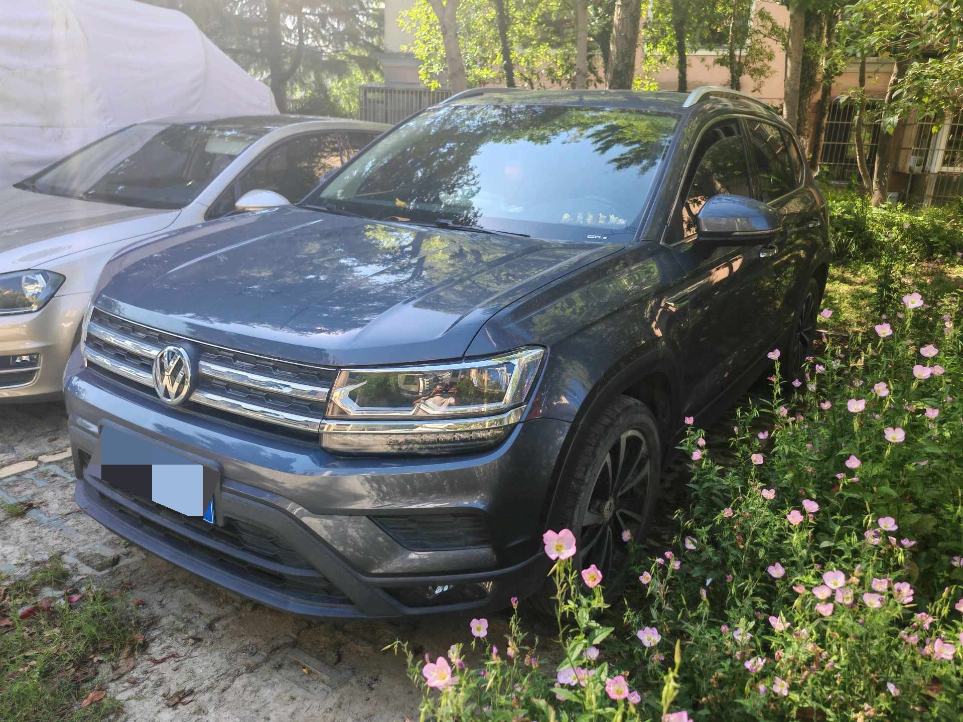 2020 immagine di auto 