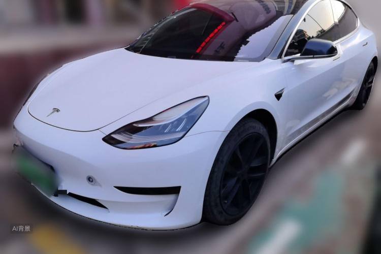Tesla Model 3 2020 imagem de carro #2