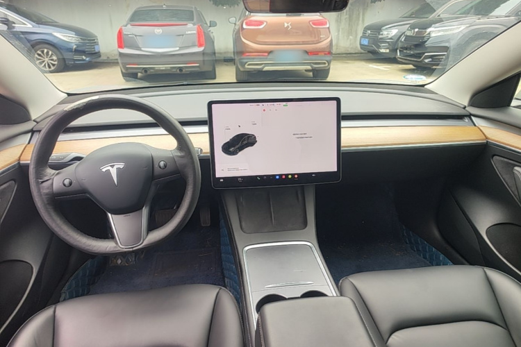 Tesla Model 3 2021 car image #10