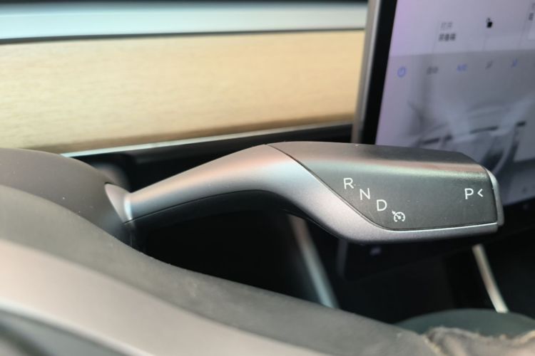 Tesla Model 3 2020 immagine di auto #14
