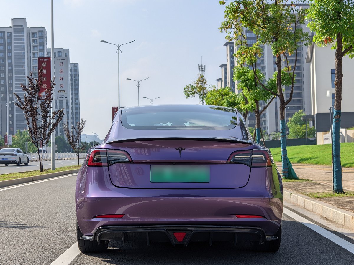 Tesla Model 3 2021 car image #4