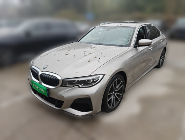 BMW 3 Series 2020 BMW 3 Series 2020 car image