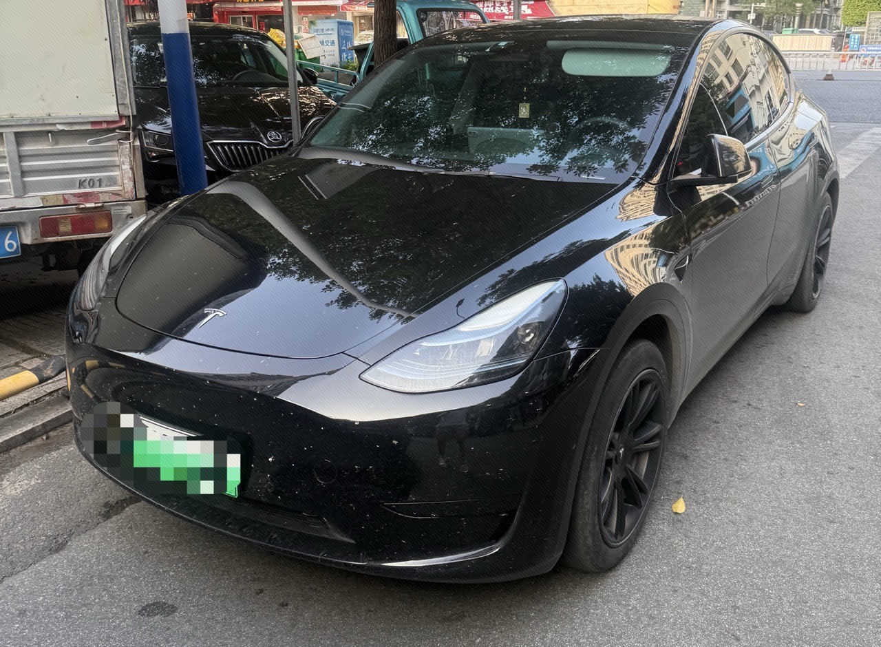 Tesla Model Y 2023 Tesla Model Y 2023 car image