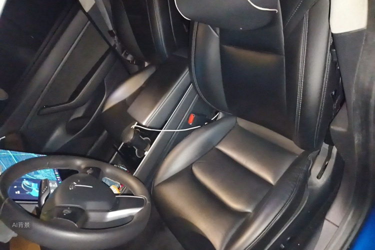Tesla Model 3 2020 car image #17