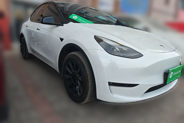 Tesla Model Y 2024 car image #4