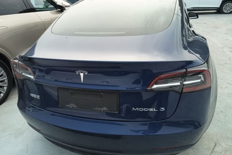 Tesla Model 3 2020 #6 Tesla Model 3 2020 car image #6