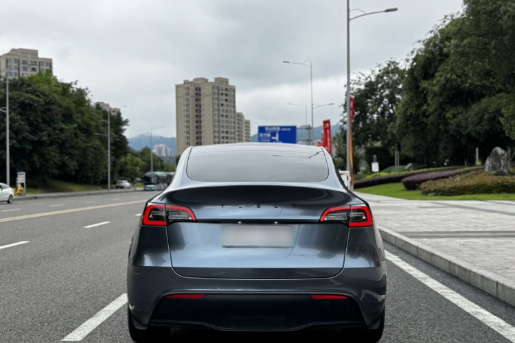 Tesla Model Y 2021 car image #10