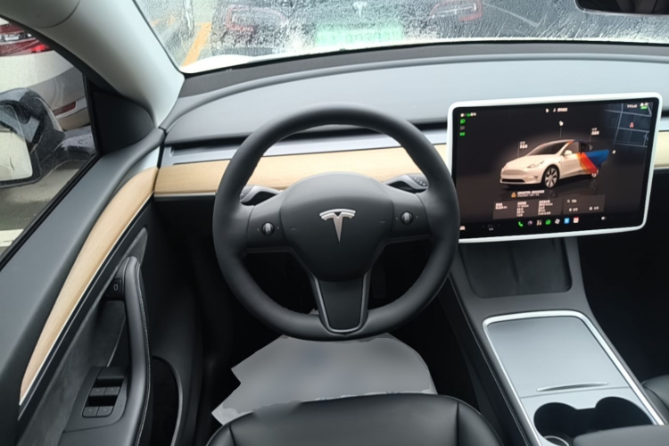 Tesla Model Y 2023 car image #15