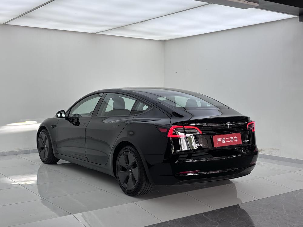 Tesla Model 3 2021 #4 Tesla Model 3 2021 car image #4
