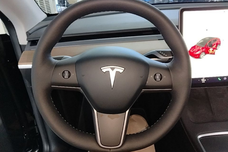 Tesla Model Y 2021 car image #11