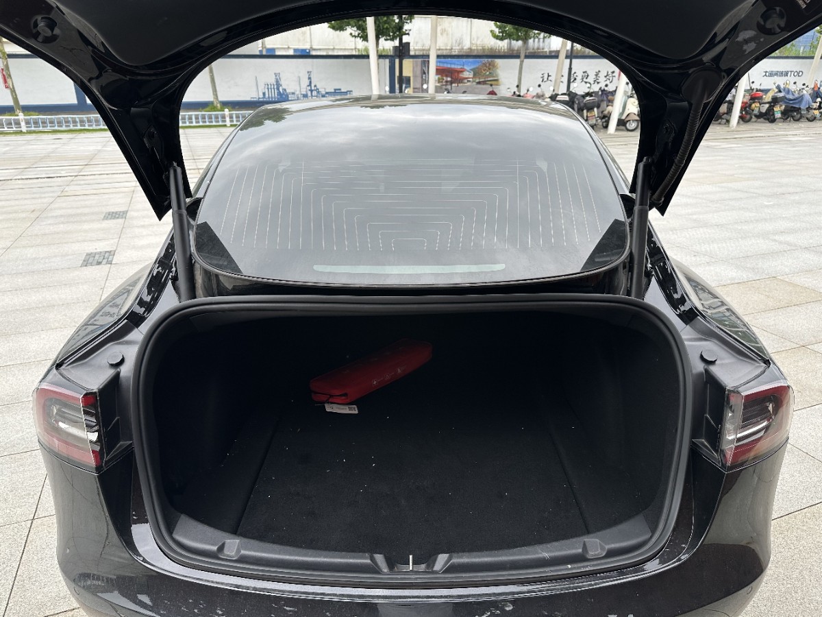 Tesla Model 3 2020 car image #14