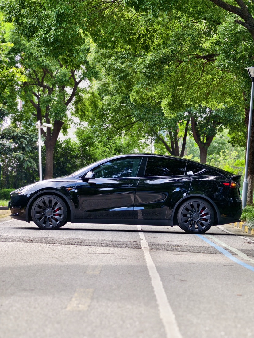 Tesla Model Y 2023 #2 Tesla Model Y 2023 car image #2