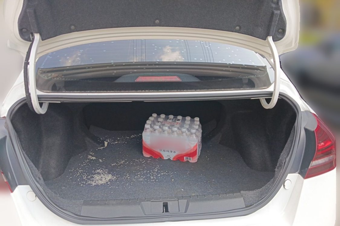 GEELY Emgrand 2020 car image #8
