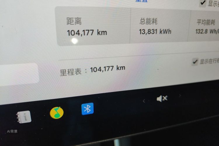 Tesla Model 3 2020 car image #14