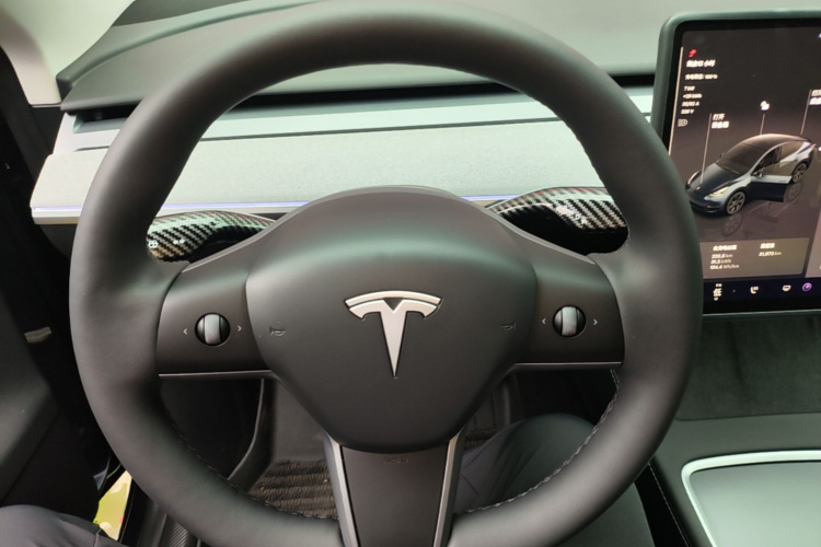 Tesla Model Y 2025 car image #15