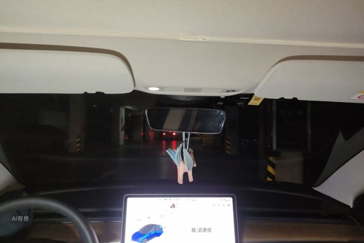 Tesla Model 3 2020 car image #20