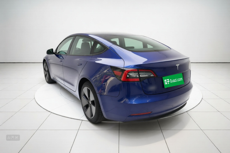 Tesla Model 3 2021 #5 Tesla Model 3 2021 car image #5