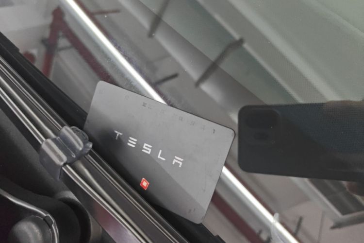 Tesla Model Y 2023 #9 Tesla Model Y 2023 car image #9