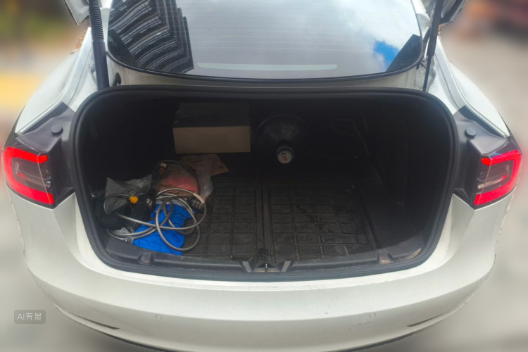 Tesla Model 3 2021 immagine di auto #21