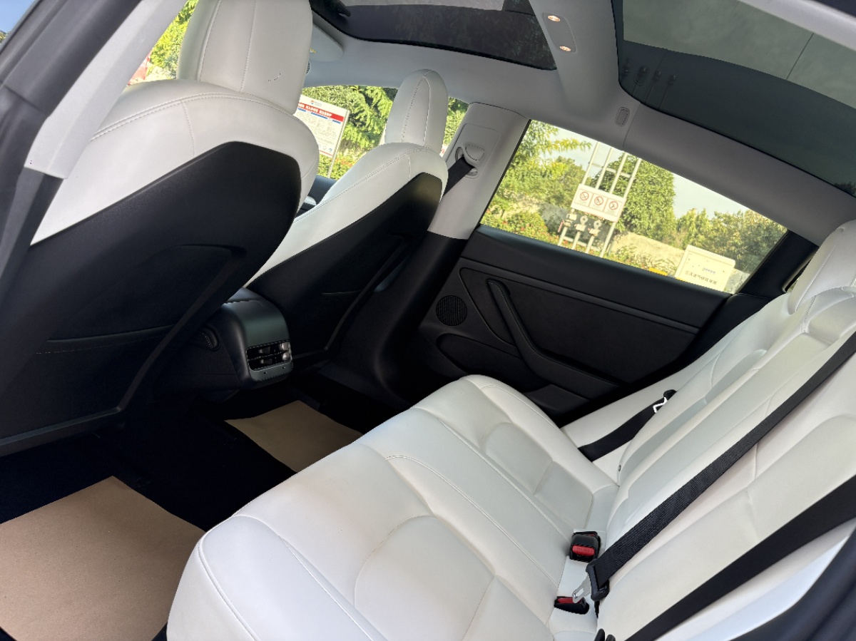 Tesla Model 3 2021 car image #6