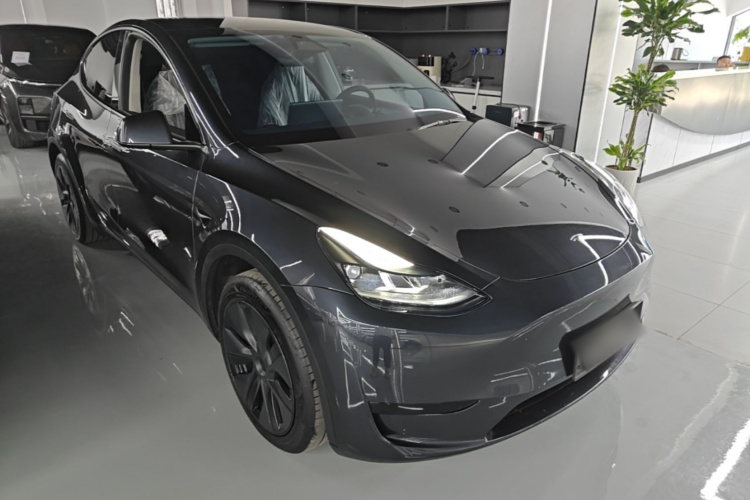 Tesla Model Y 2025 car image #6