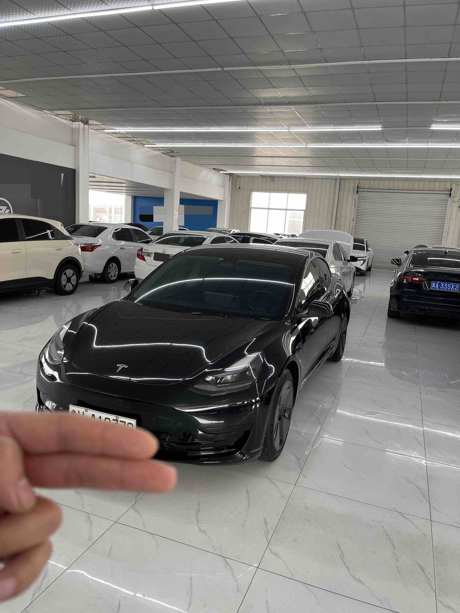 Tesla Model 3 2022 car image 