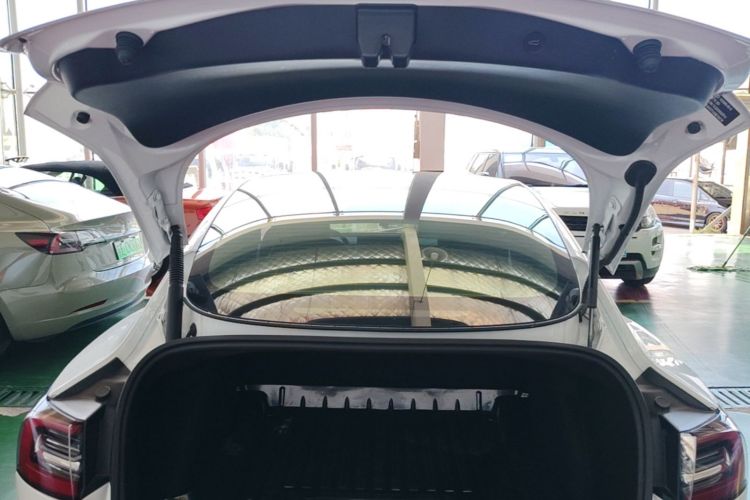 Tesla Model 3 2021 #19 Tesla Model 3 2021 car image #19