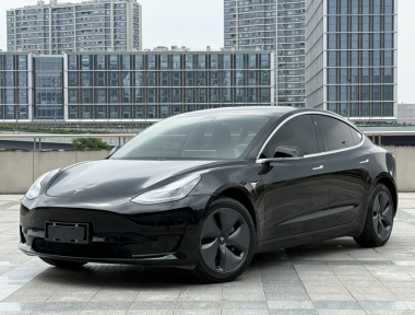 Tesla Model 3 2020 car image 