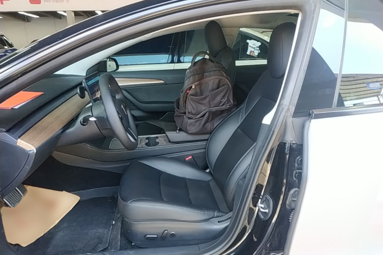 Tesla Model 3 2022 car image #19