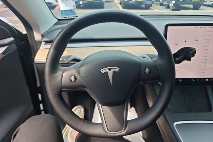 Tesla Model Y 2021 car image #15