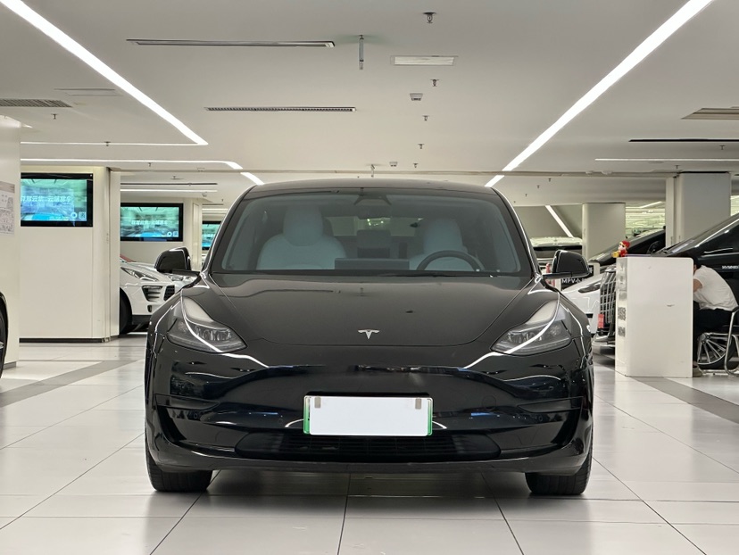 Tesla Model 3 2021 car image #2