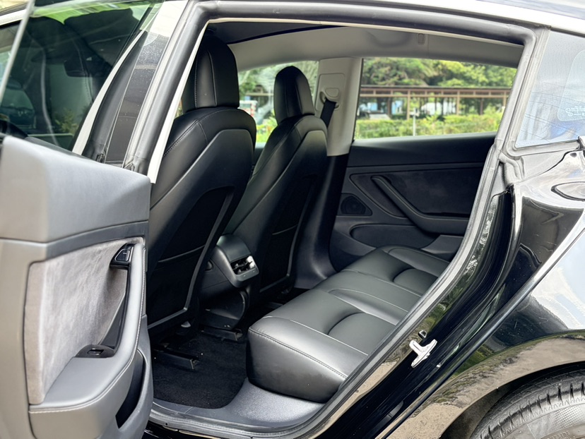 Tesla Model 3 2020 car image #7