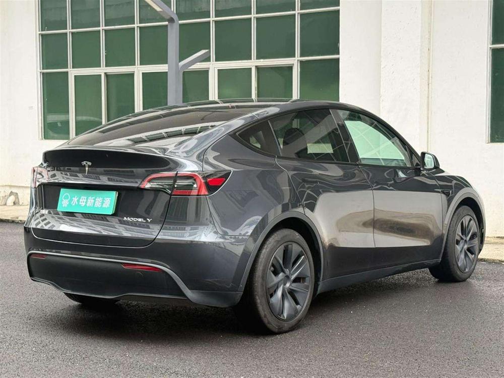 Tesla Model Y 2024 car image #6