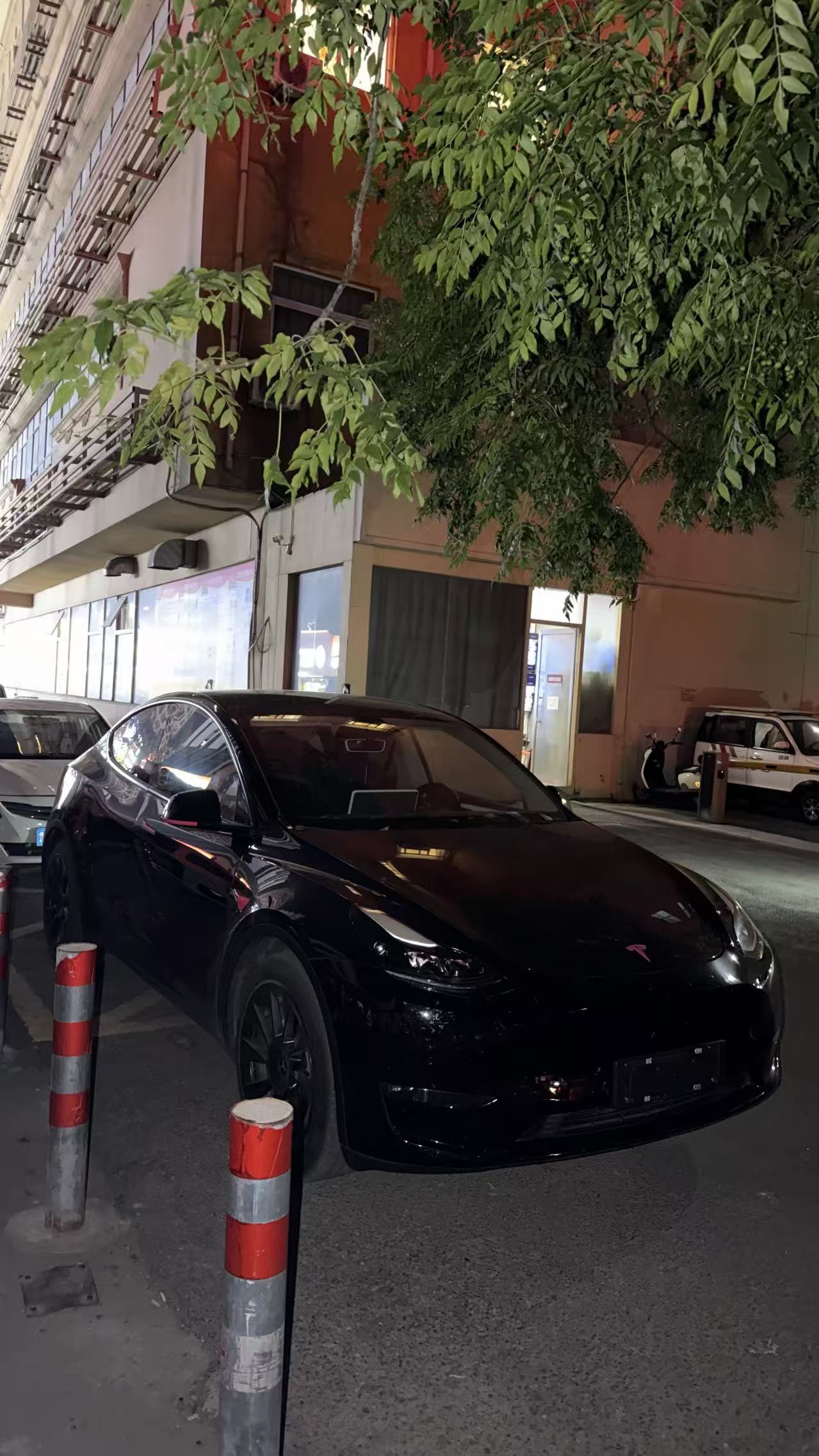 Tesla Model Y 2021 #2 Tesla Model Y 2021 car image #2