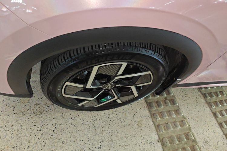 BYD Yuan Plus 2022 car image #9