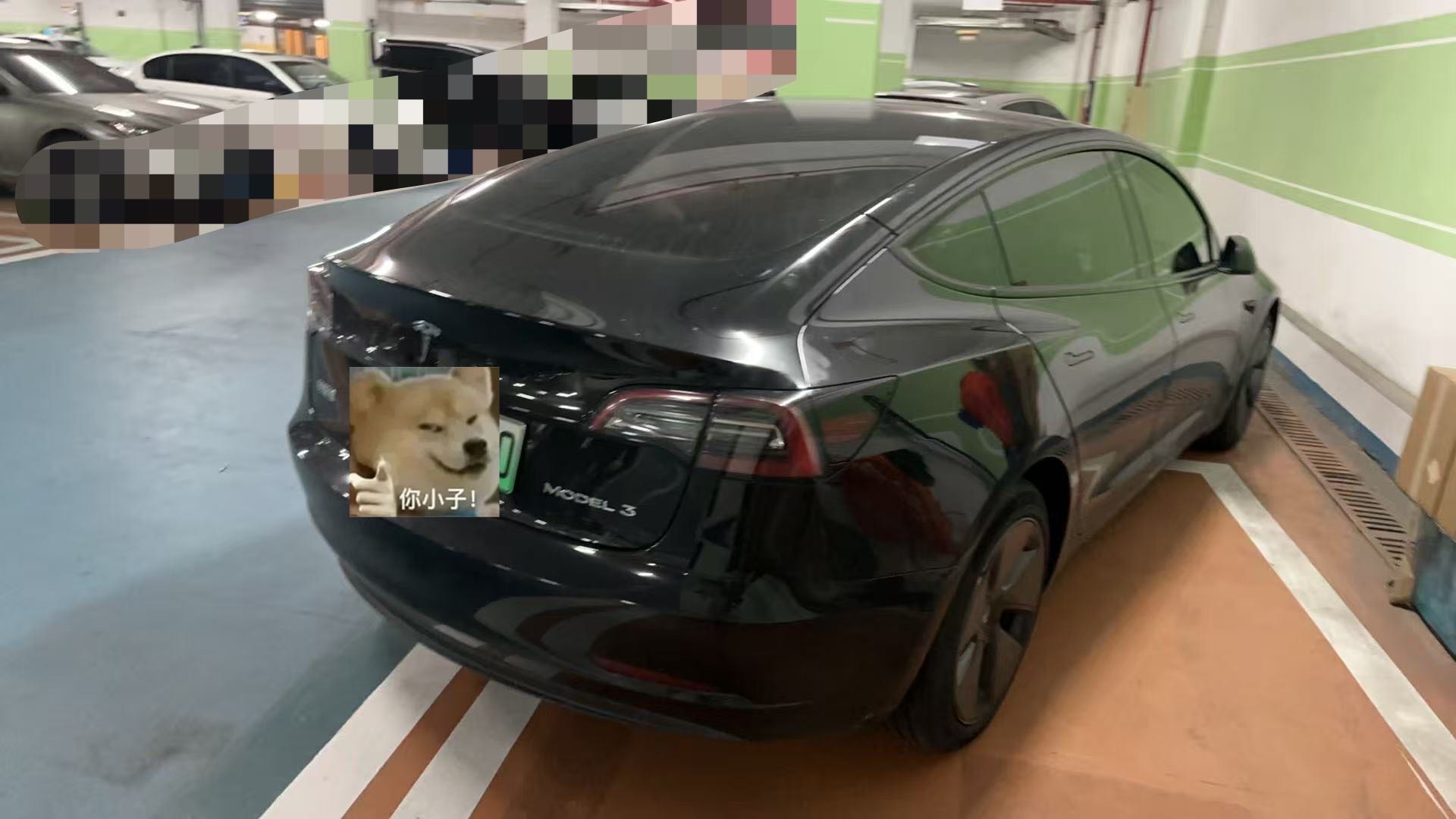 Tesla Model 3 2023 #3 Tesla Model 3 2023 immagine di auto #3
