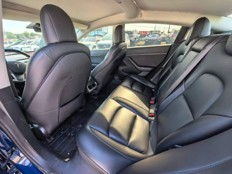 Tesla Model 3 2020 car image #8