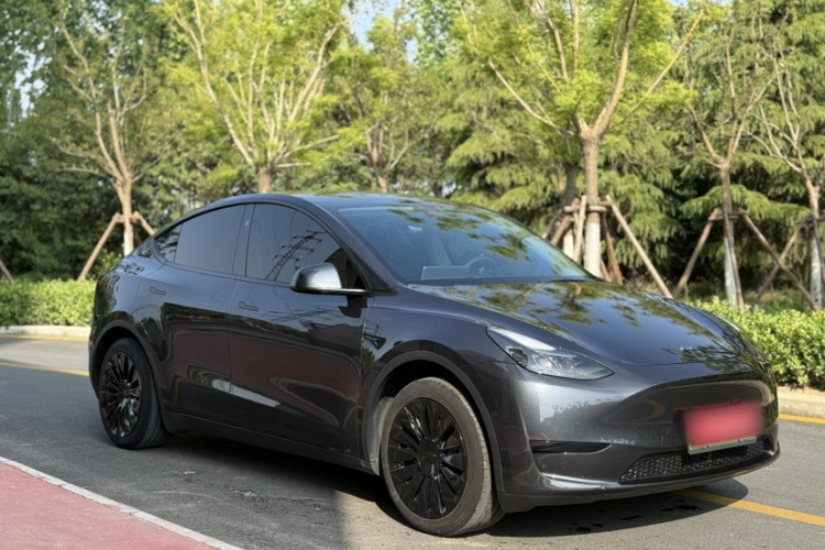 Tesla Model Y 2025 car image #6