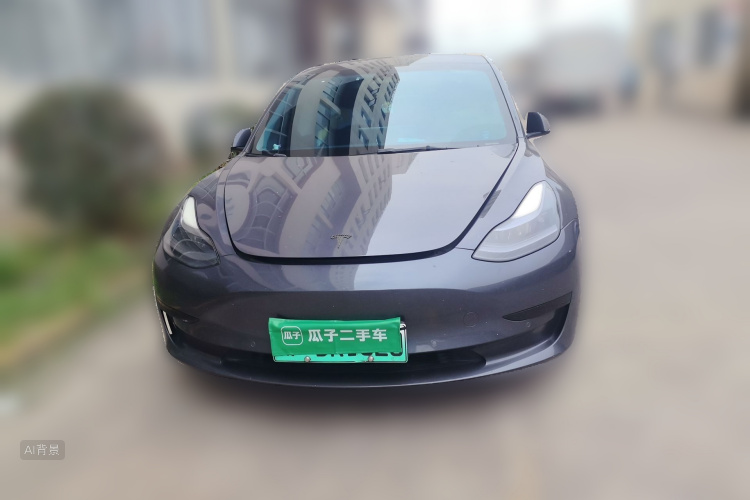 Tesla Model 3 2022 #3 Tesla Model 3 2022 car image #3