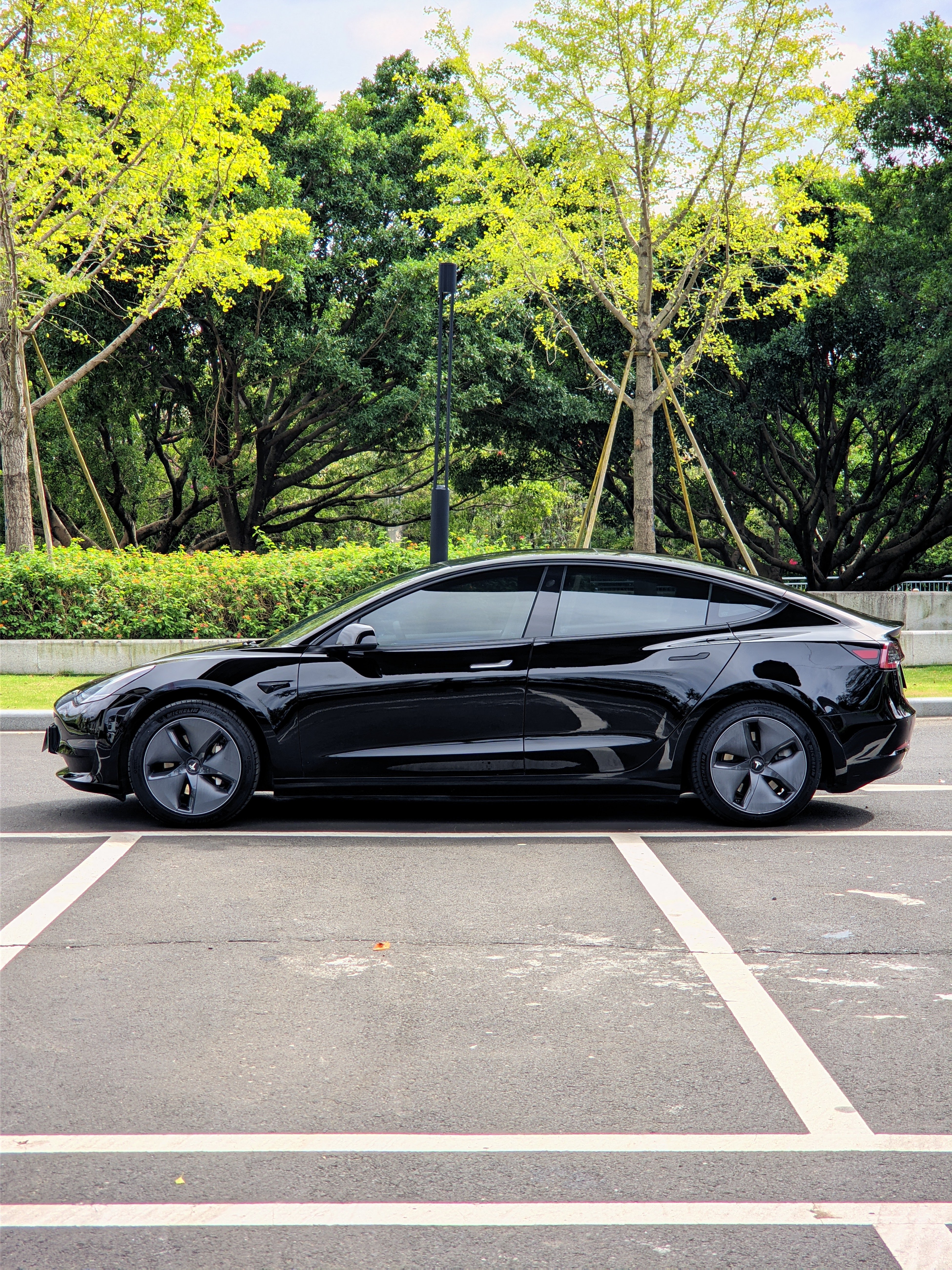 Tesla Model 3 2020 car image #5