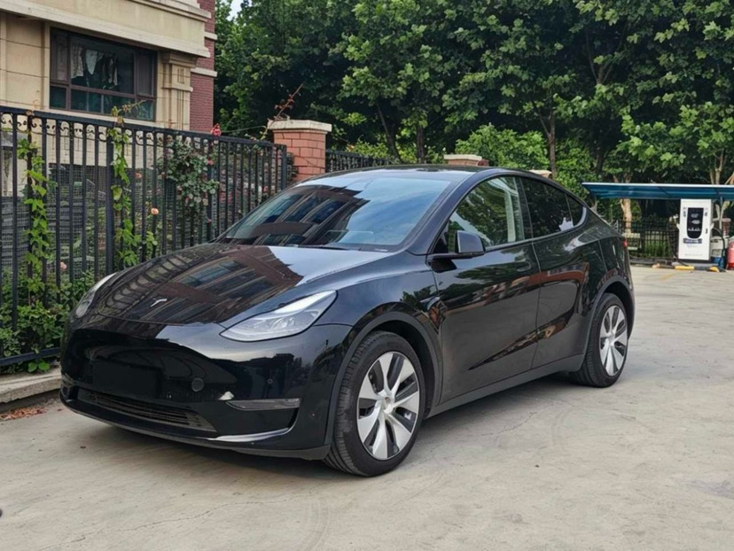 Tesla Model Y 2022 car image 