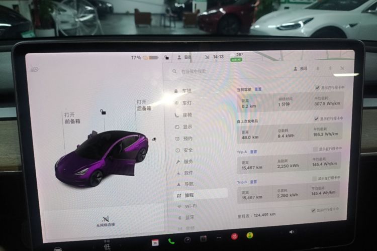 Tesla Model 3 2021 car image #12